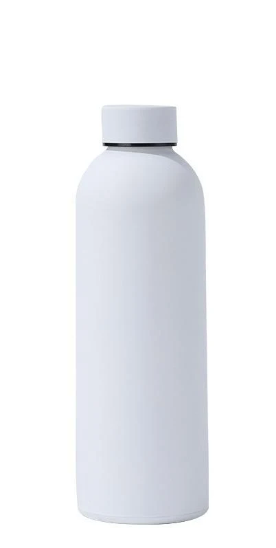 17oz Stainless Steel Insulated Water Bottle
