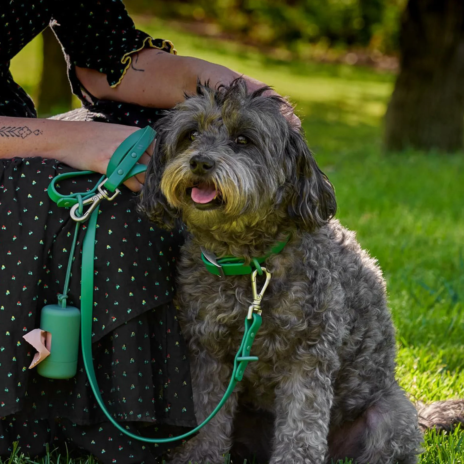 Dog Poop Bag Dispenser Leash Clip Leakproof Twist Top Roll