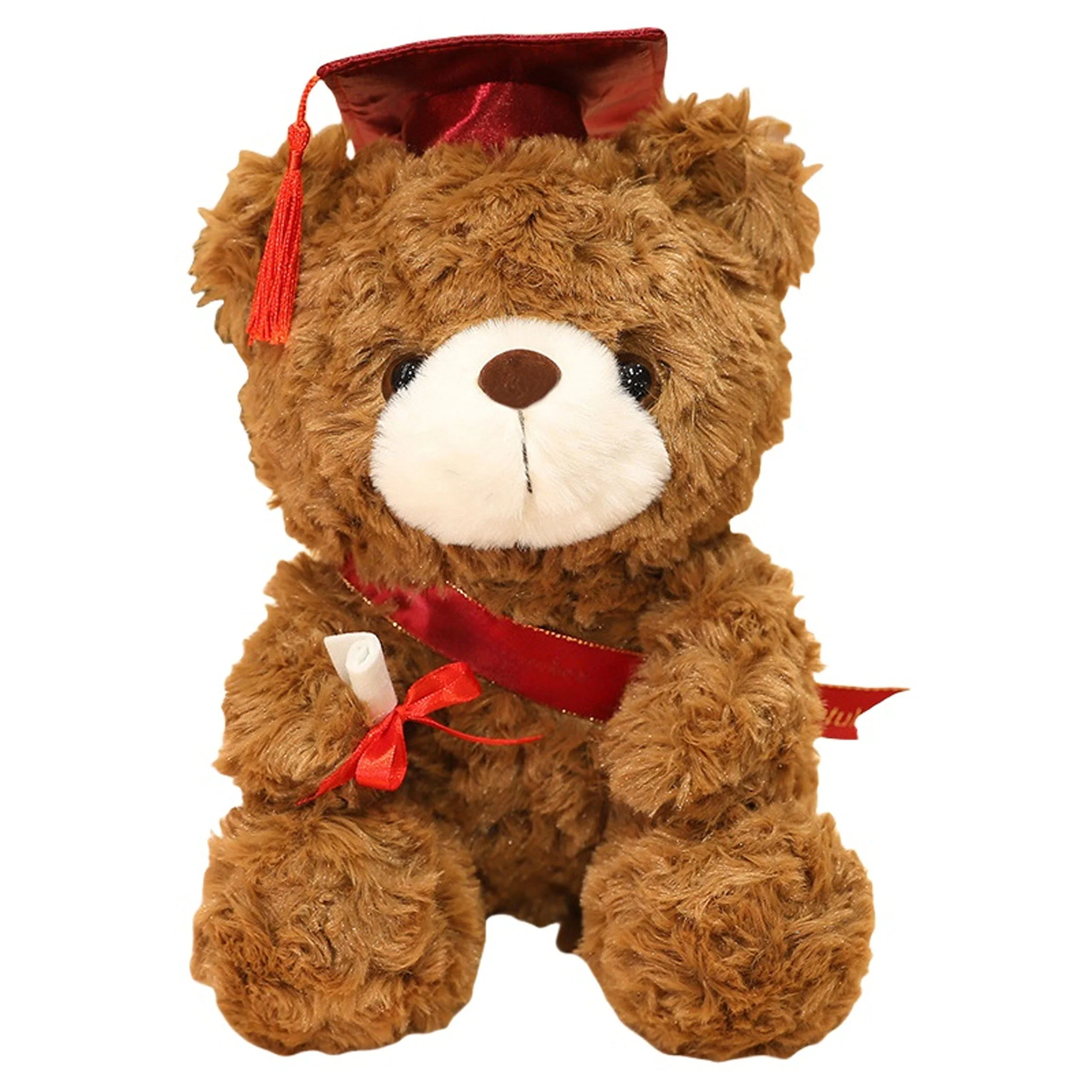 Dr. Hooded Bear Graduation Season Gift