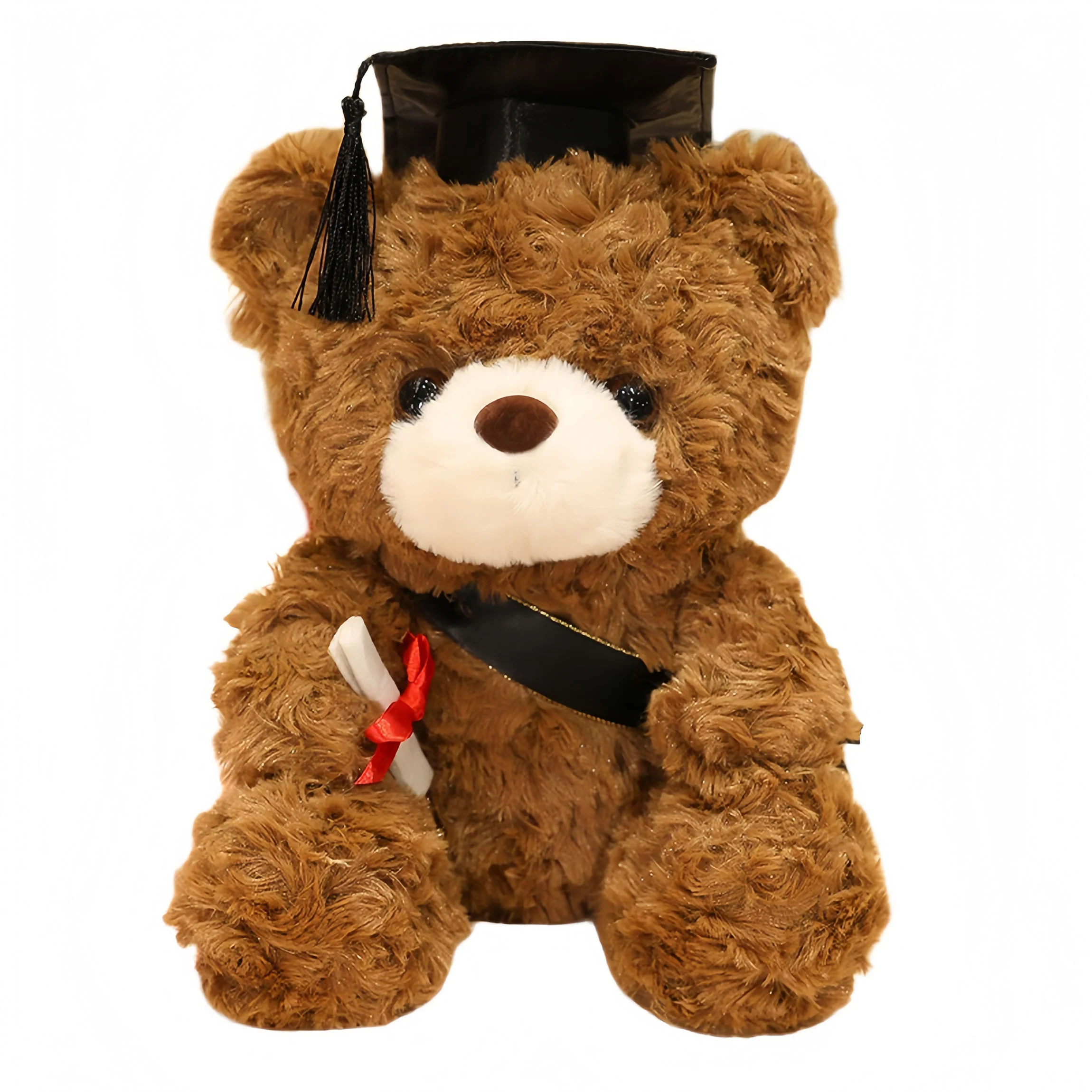 Dr. Hooded Bear Graduation Season Gift