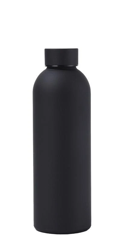 17oz Stainless Steel Insulated Water Bottle