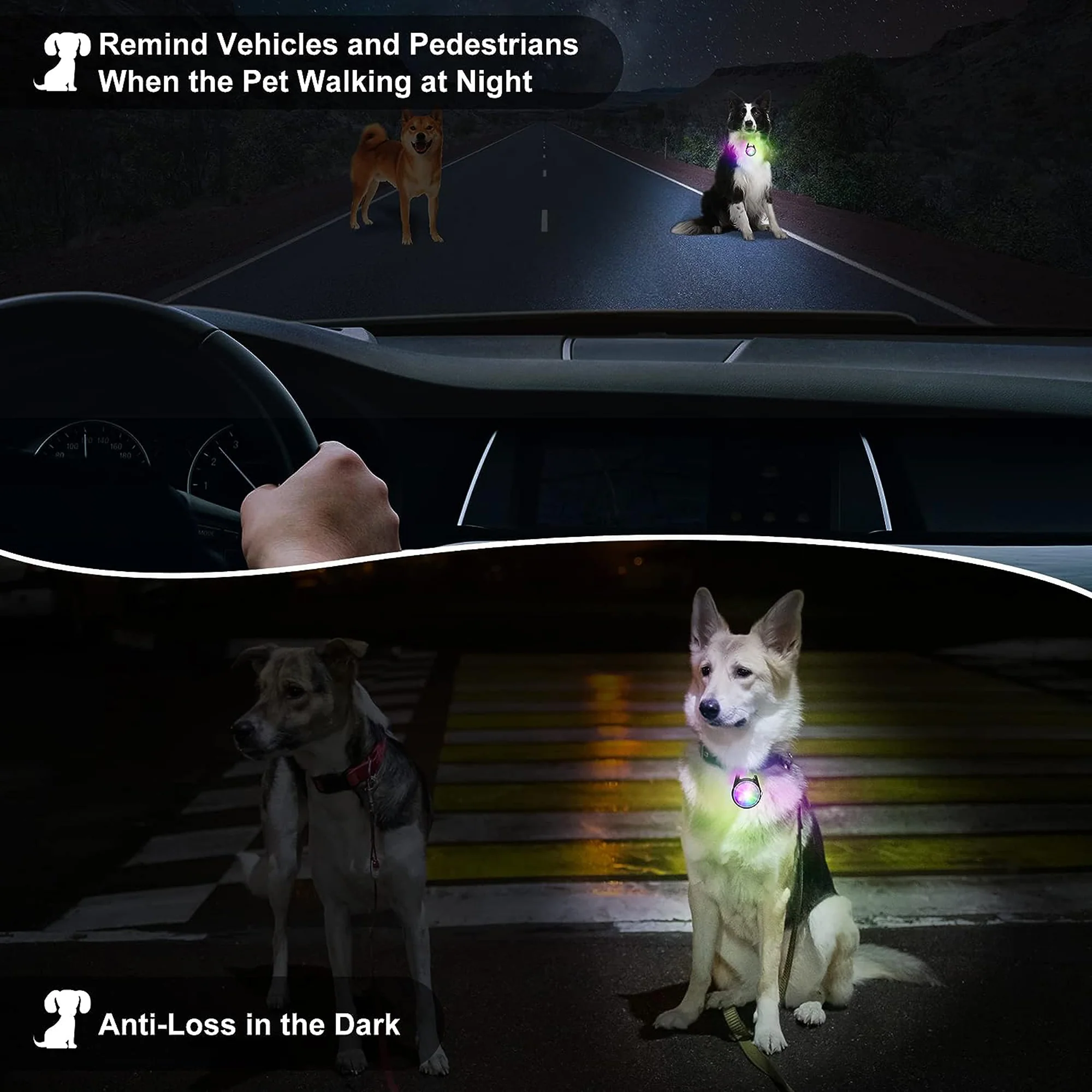 LED Light Up Pet Collar For Safety Dog Collar